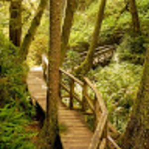 Meet your Posher, Angel